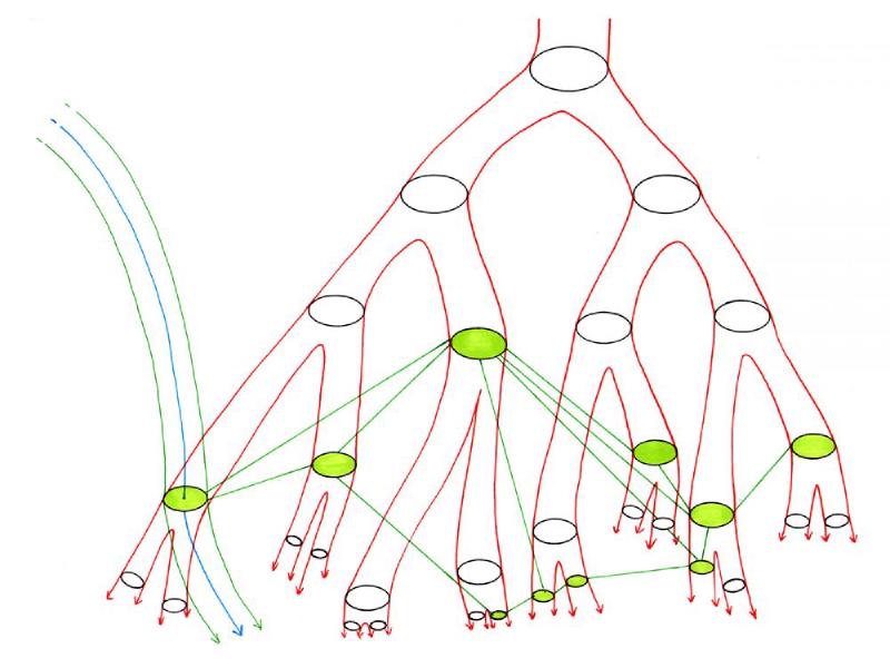 kasi pi anpa ma en kasi kiwen palisa li ante.